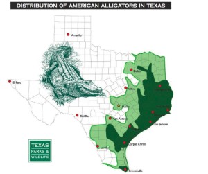 American Alligator Distribution map